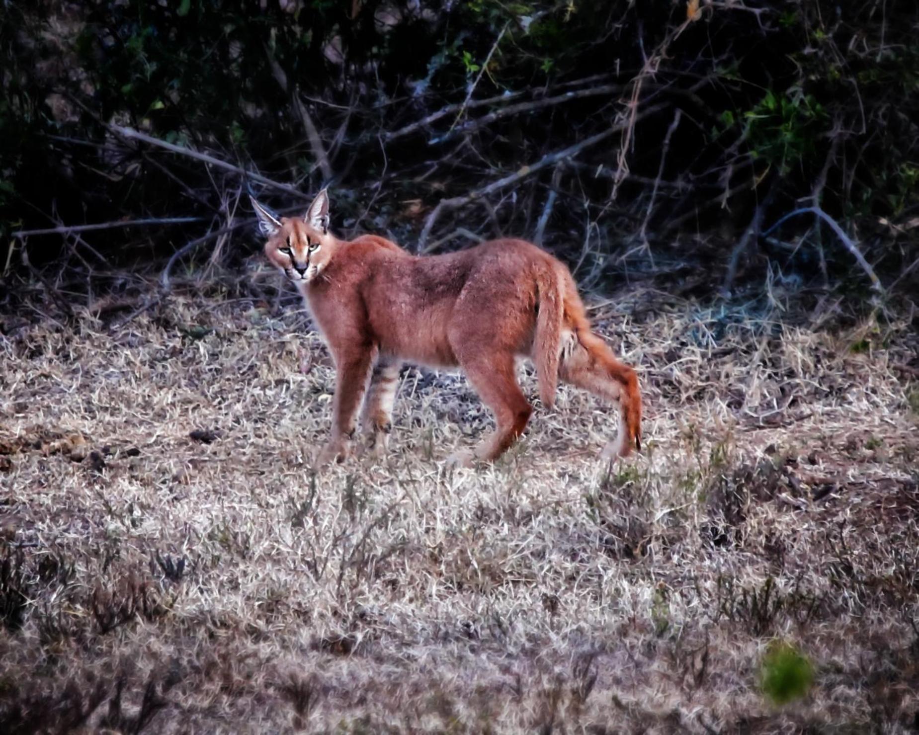 Riverbend Lodge Addo Exteriör bild