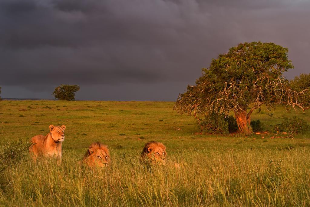 Riverbend Lodge Addo Exteriör bild