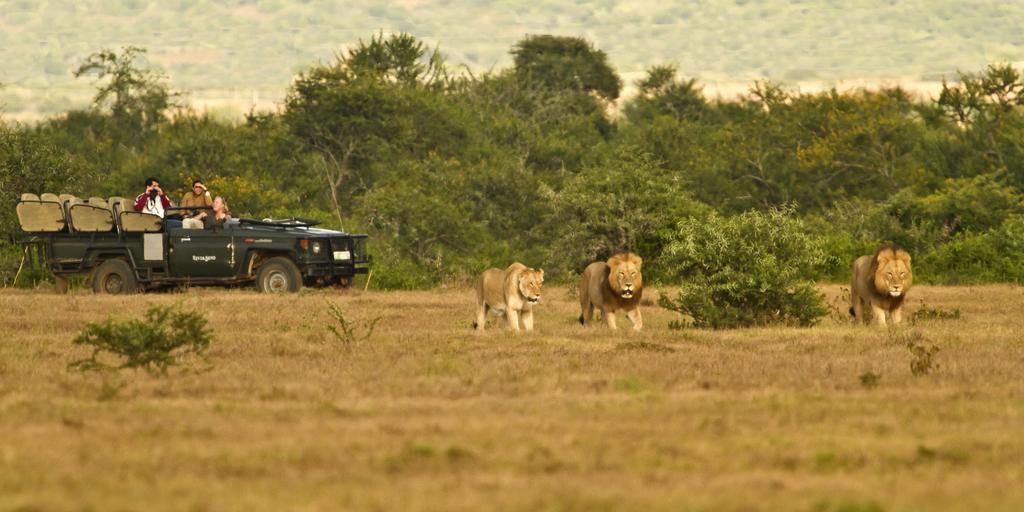 Riverbend Lodge Addo Exteriör bild