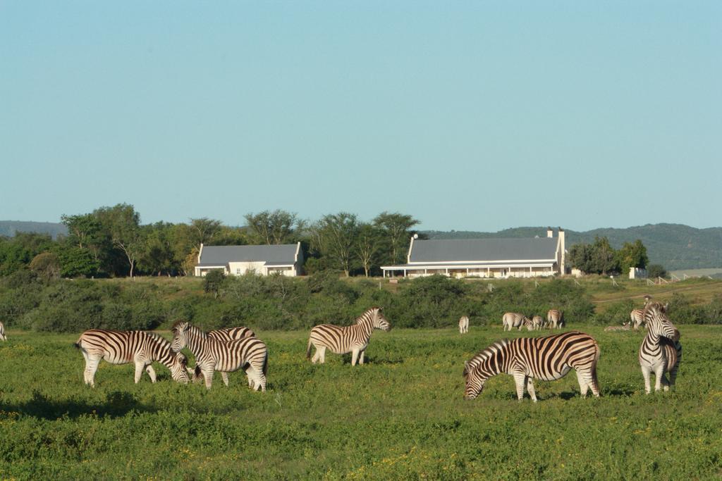 Riverbend Lodge Addo Exteriör bild