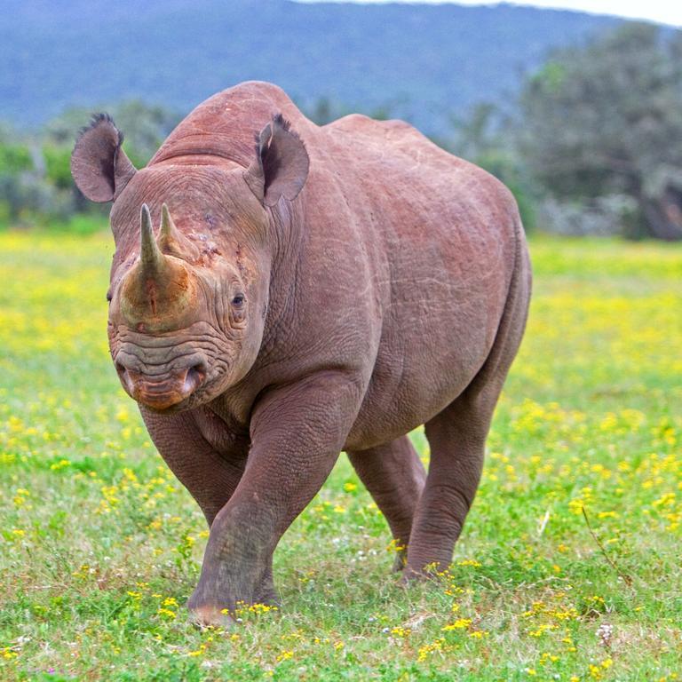 Riverbend Lodge Addo Exteriör bild